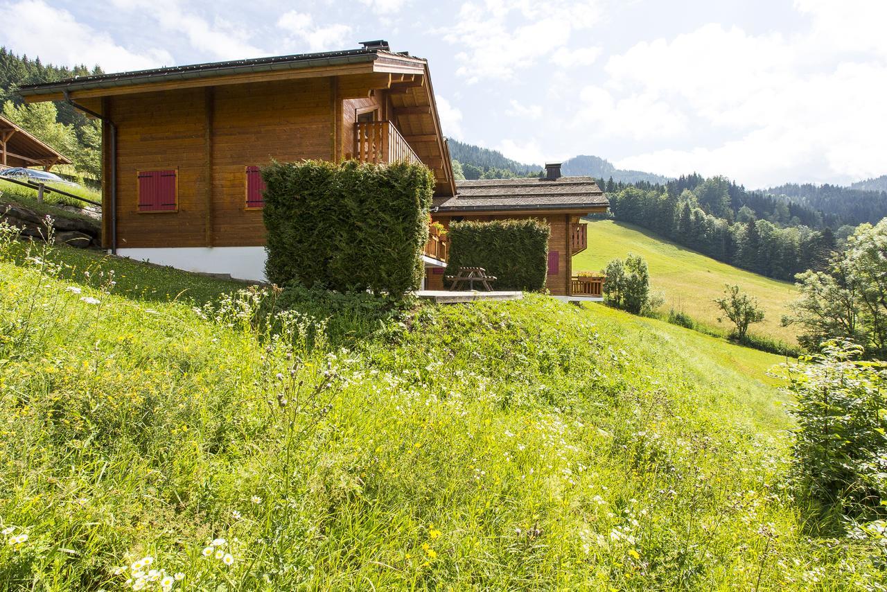 Les Chalets Du Danay 생장드씨 외부 사진
